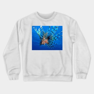 The Lion King Crewneck Sweatshirt